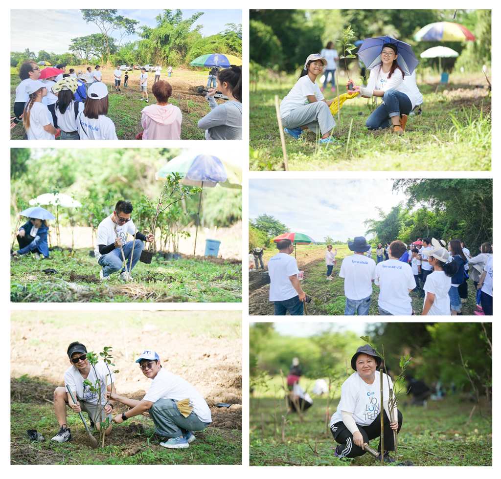 ทิสโก้ร่วม Haze Free และชุมชนลำปาง พลิกพื้นที่เสื่อมโทรมสู่ผืนป่า 1 collage 1