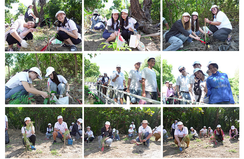 กลุ่มทิสโก้ รวมพลังเพิ่มพื้นที่สีเขียวคุ้งบางกะเจ้า 2 image 2 1