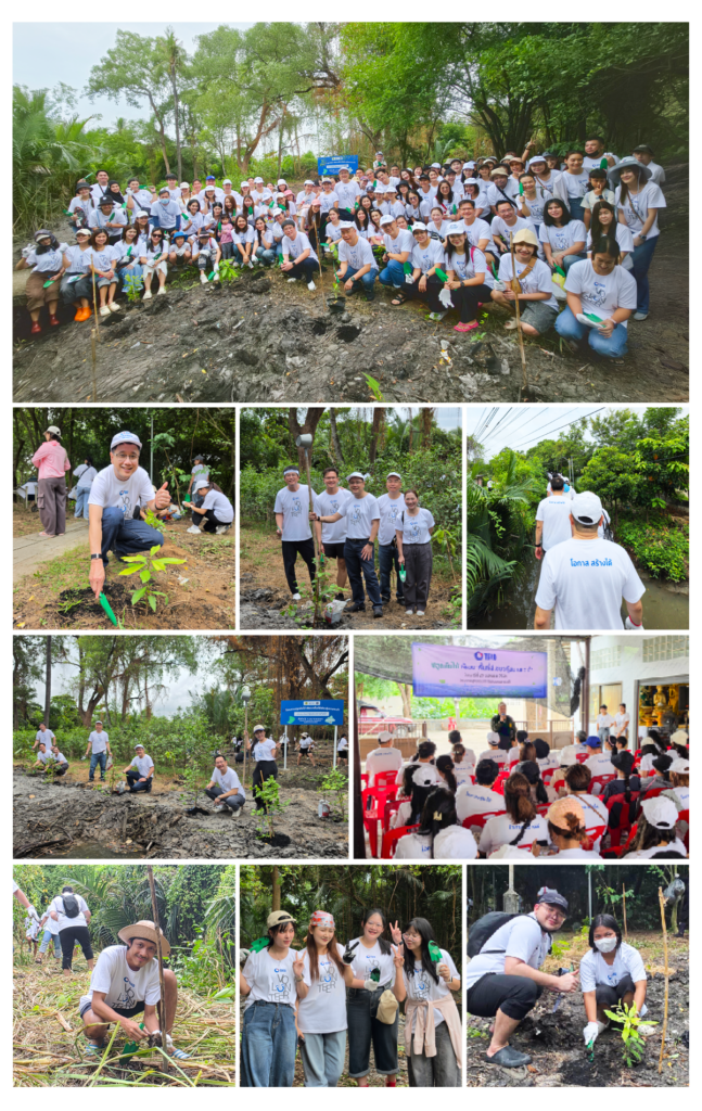 กลุ่มทิสโก้ เดินหน้าปลูกป่าบางกระเจ้าต่อเนื่องปีที่ 3 1 web collage 1