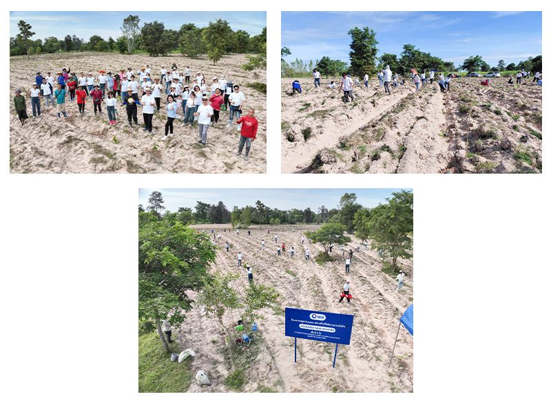 กลุ่มทิสโก้สร้างพื้นที่สีเขียว ชุมชนบ้านหนองทิศสอน จ.มหาสารคาม 1 ปลูกป่า collage
